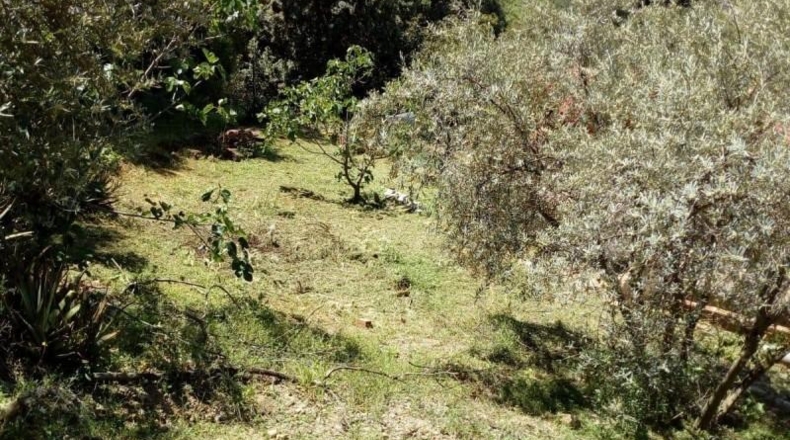 Malaga - Comares - 4104m2