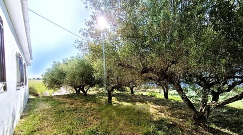 Valencia - Ontinyent - 130m2