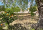 Casa de campo con terreno en venta en la España, Fuente Álamo, ref: TR411916 foto