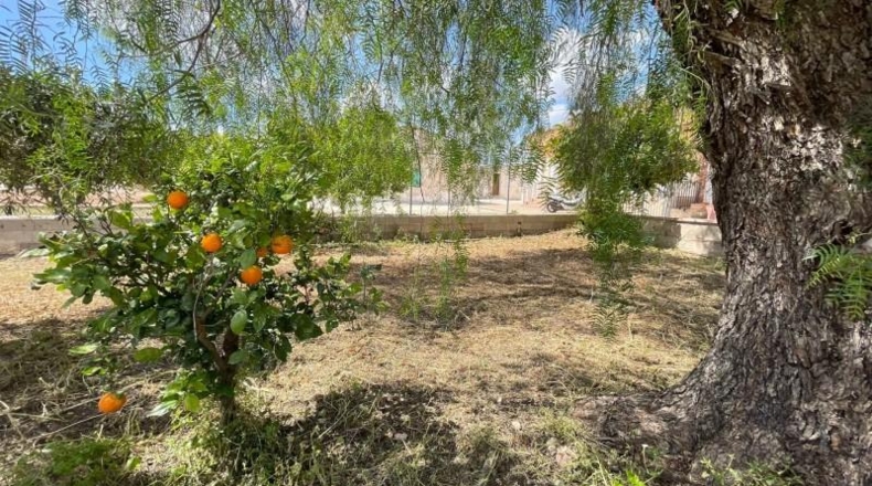 Murcia - Fuente Álamo - 900m2