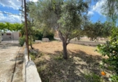 Casa de campo con terreno en venta en la España, Fuente Álamo, ref: TR411916 foto