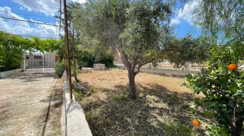 Murcia - Fuente Álamo - 900m2