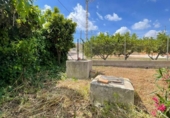 Casa de campo con terreno en venta en la España, Fuente Álamo, ref: TR411916 foto