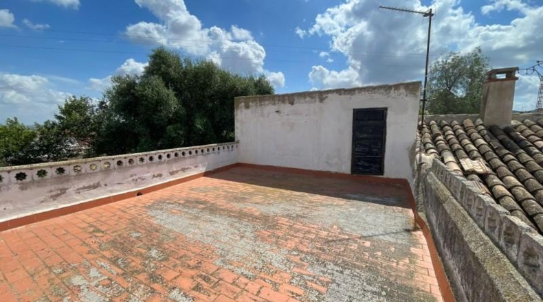 Murcia - Fuente Álamo - 900m2