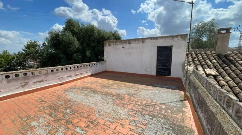 Murcia - Fuente Álamo - 900m2