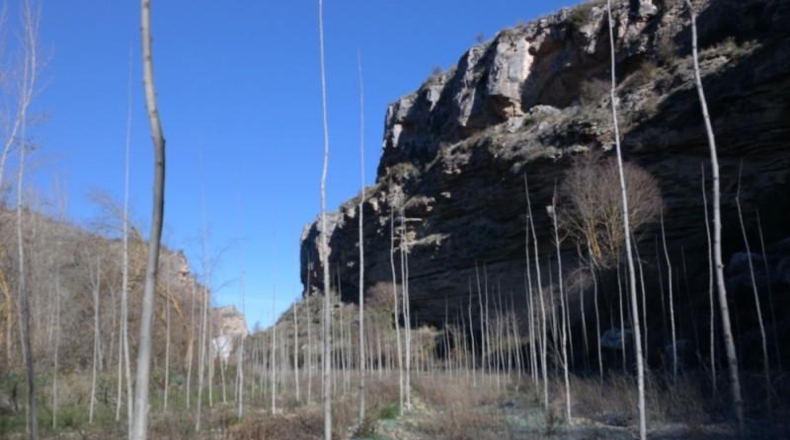 Granada - Alhama de Granada - 88785m2