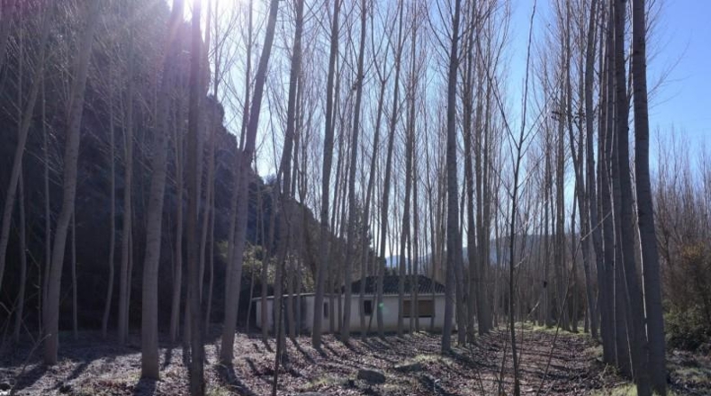 Granada - Alhama de Granada - 88785m2