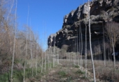 Detached villa with land for sale on España, Alhama de Granada, ref: TR309730 photo