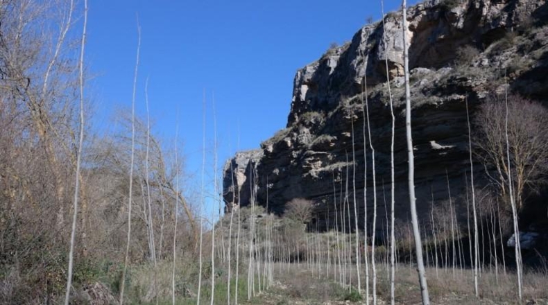 Granada - Alhama de Granada - 88785m2