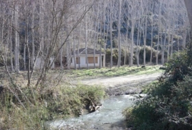 Foto 13