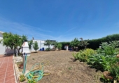 Casa de pueblo en venta en la España, Palomeque, ref: TR411945 foto