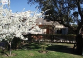 Chalet independiente con terreno en venta en la España, Maello, ref: TR411953 foto