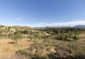 Detached villa with land for sale on España, Arenas del Rey, ref: TR411973 photo