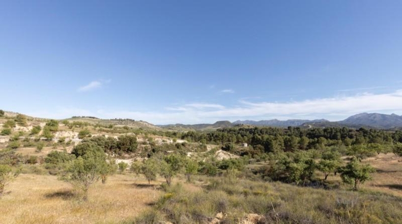 Granada - Аренас-дель-Рей - 26618m2