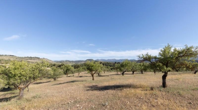 Granada - Аренас-дель-Рей - 26618m2