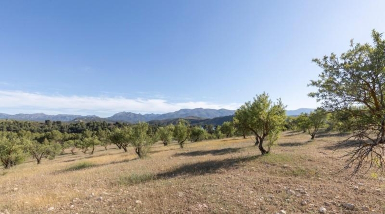 Granada - Аренас-дель-Рей - 26618m2