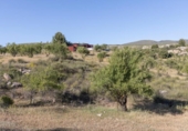 Detached villa with land for sale on España, Arenas del Rey, ref: TR411973 photo