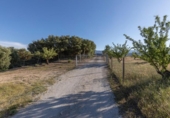 Detached villa with land for sale on España, Arenas del Rey, ref: TR411973 photo
