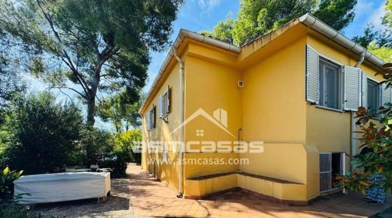 Castellon - Benicasim - 818m2