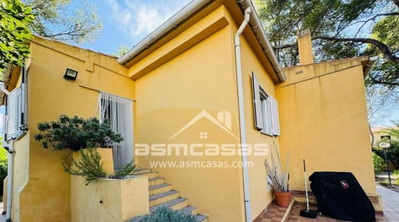 Castellon - Benicasim - 818m2