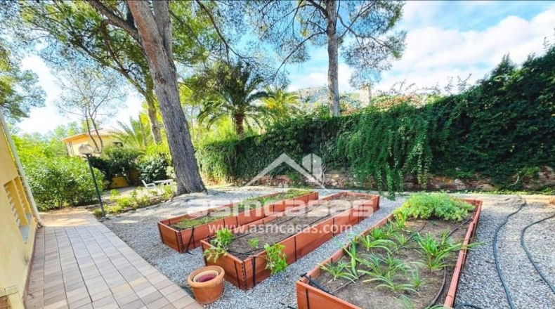 Castellon - Benicasim - 818m2