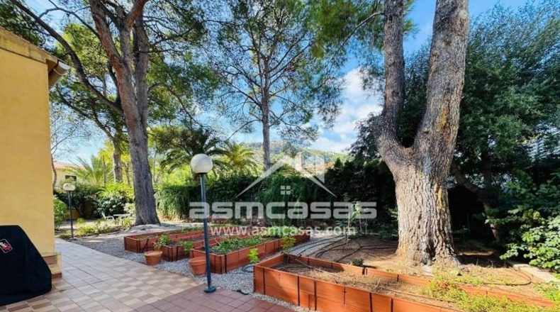 Castellon - Benicasim - 818m2