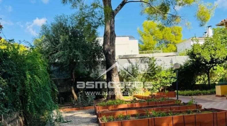 Castellon - Benicasim - 818m2