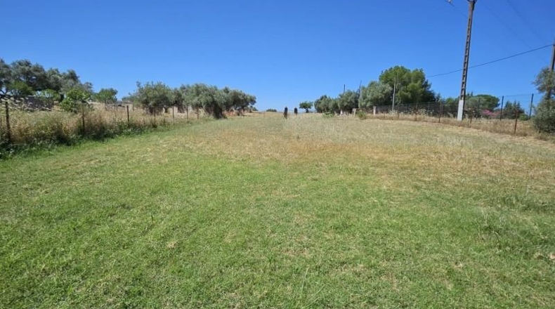 Касерес - Malpartida de Cáceres - 7000m2