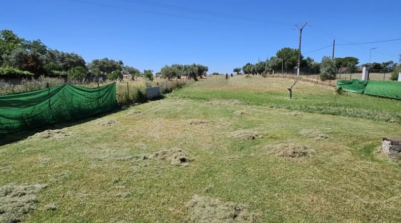 Касерес - Malpartida de Cáceres - 7000m2