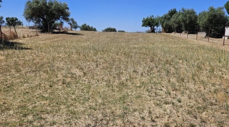 Касерес - Malpartida de Cáceres - 7000m2