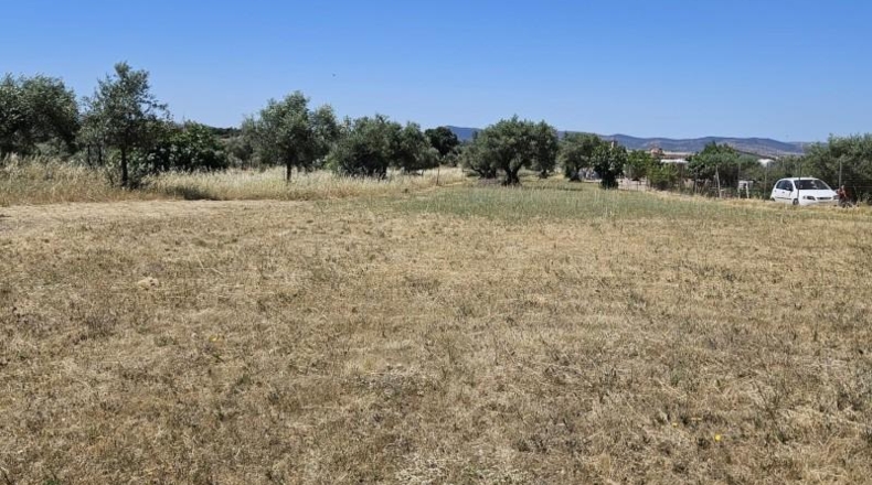 Касерес - Malpartida de Cáceres - 7000m2