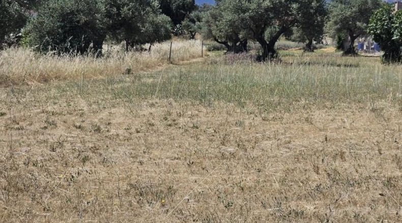 Касерес - Malpartida de Cáceres - 7000m2