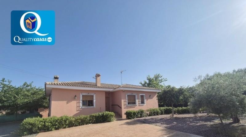 Alicante - Alicante - 2500m2
