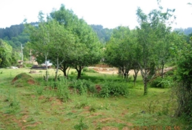 Cigüenza 3642&nbsp;m²