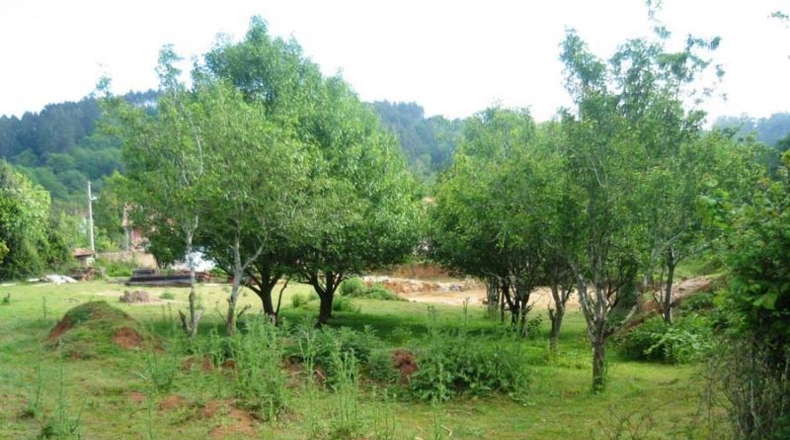 Huesca - Novales - 3642m2