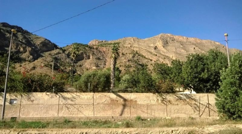 Alicante - Orihuela - 12441m2