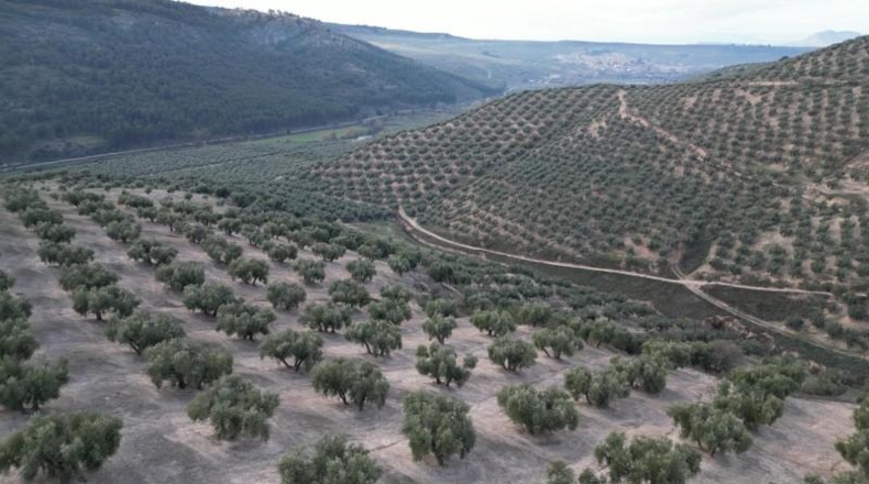 Granada - Iznalloz - 720000m2
