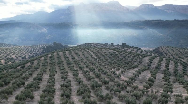 Granada - Iznalloz - 720000m2