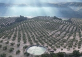 Xalet independent amb terreny en venda a la España, Iznalloz, ref.: TR211330 foto