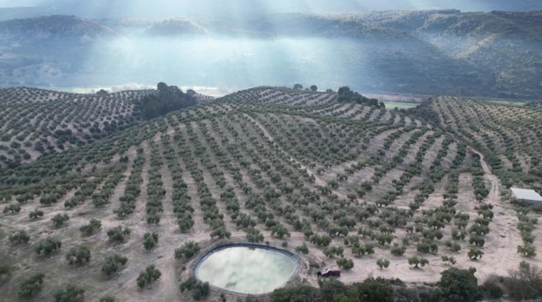 Granada - Iznalloz - 720000m2