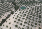 Xalet independent amb terreny en venda a la España, Iznalloz, ref.: TR211330 foto