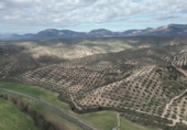 Xalet independent amb terreny en venda a la España, Iznalloz, ref.: TR211330 foto
