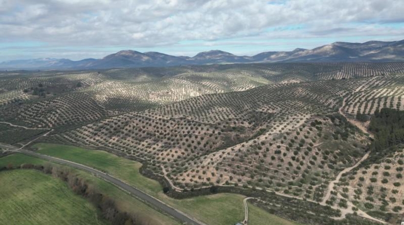 Granada - Iznalloz - 720000m2