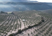 Xalet independent amb terreny en venda a la España, Iznalloz, ref.: TR211330 foto