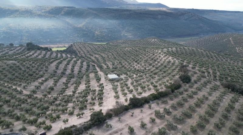 Granada - Iznalloz - 720000m2