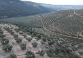 Xalet independent amb terreny en venda a la España, Iznalloz, ref.: TR211330 foto