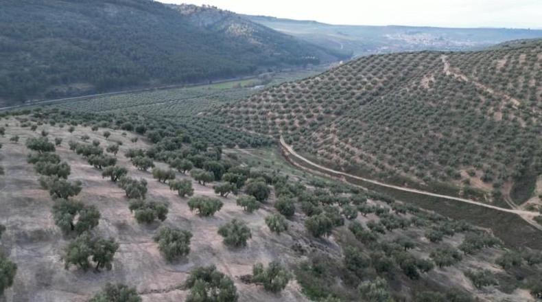 Granada - Iznalloz - 720000m2