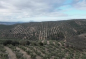 Xalet independent amb terreny en venda a la España, Iznalloz, ref.: TR211330 foto