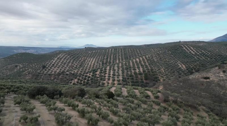 Granada - Iznalloz - 720000m2