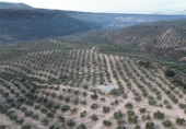 Xalet independent amb terreny en venda a la España, Iznalloz, ref.: TR211330 foto